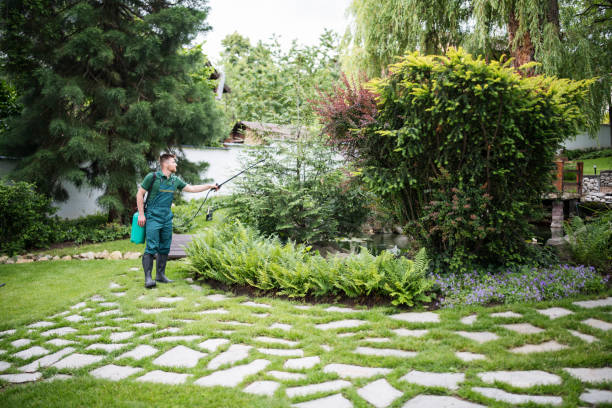 Best Emergency Pest Control  in Floral Park, NY