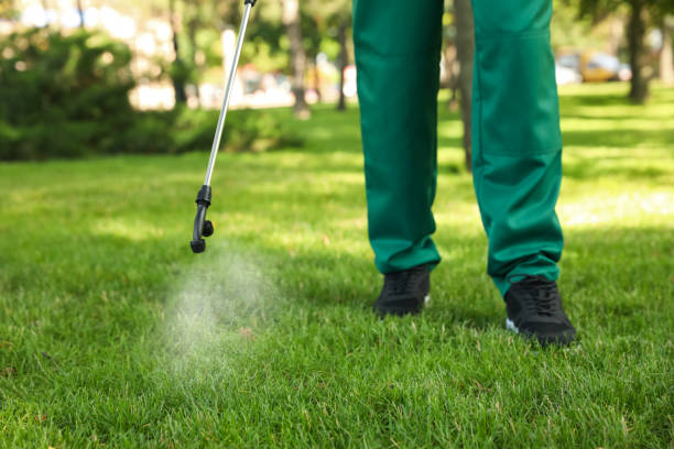 Best Cockroach Control Services  in Floral Park, NY