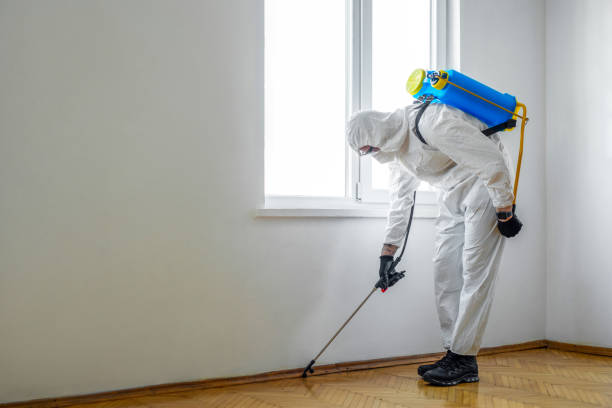Best Pest Prevention Services  in Floral Park, NY