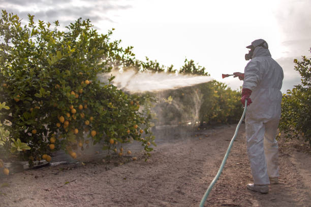 Best Best Pest Control Companies  in Floral Park, NY