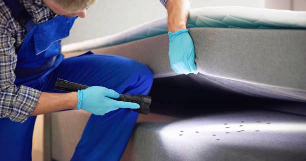 Best Local Pest Control Services  in Floral Park, NY
