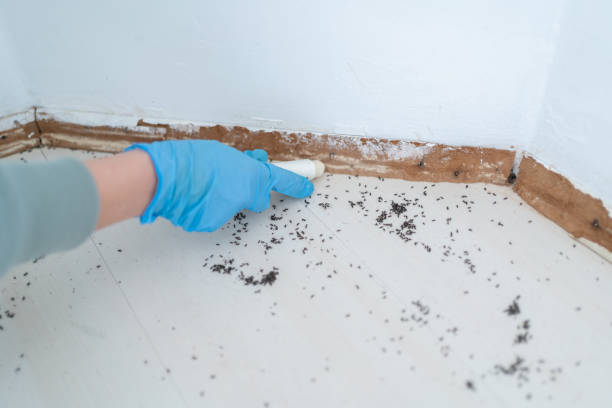 Best Pest Prevention Services  in Floral Park, NY