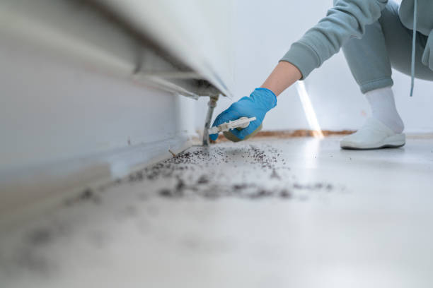 Best Wasp Removal Services  in Floral Park, NY